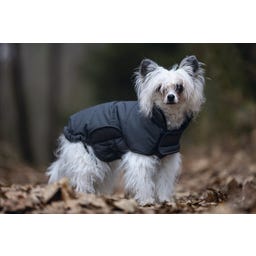 Designed by Lotte Hundemantel Zhanti Grau - 32 cm
