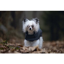 Designed by Lotte Hundemantel Zhanti Grau - 32 cm