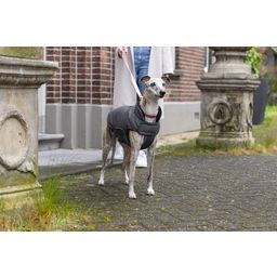 Designed by Lotte Cappotto per Cani Zhanti, Grigio - 36 cm