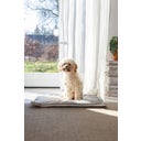 Designed by Lotte Kooikussen - Gisel Grijs - 62x44x4 cm