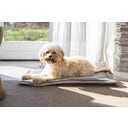 Designed by Lotte Kooikussen - Gisel Grijs - 62x44x4 cm