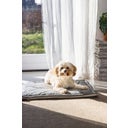 Designed by Lotte Kooikussen - Gisel Grijs - 62x44x4 cm