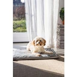 Designed by Lotte Kooikussen - Gisel Grijs - 62x44x4 cm