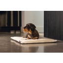 Designed by Lotte Kooikussen - Gisel Grijs - 62x44x4 cm