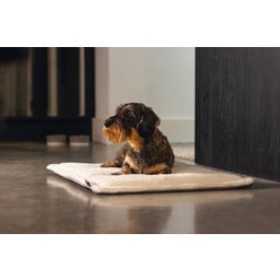 Designed by Lotte Kooikussen - Gisel Grijs - 62x44x4 cm