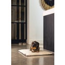 Designed by Lotte Kooikussen - Gisel Grijs - 62x44x4 cm