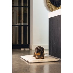 Designed by Lotte Kooikussen - Gisel Grijs - 62x44x4 cm