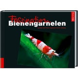 Animalbook Faszination Bienengarnelen