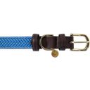 Kentucky Dogwear Plaited Nylon Dog Collar, Blue - S (42 cm)