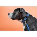 Kentucky Dogwear Plaited Nylon kutyanyakörv, blue - S (42 cm)