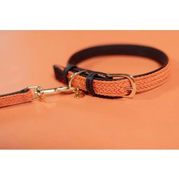 Kentucky Dogwear Plaited Nylon Dog Collar, Orange - S (42 cm)