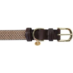 Kentucky Dogwear Hundehalsband Plaited Nylon, beige - S (42 cm)