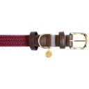 Kentucky Dogwear Pasja ovratnica Plaited Nylon, bordeaux - S (42 cm)