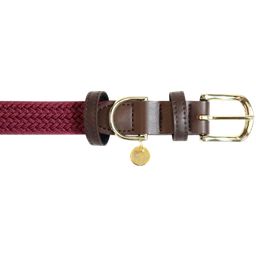 Kentucky Dogwear Plaited Nylon Dog Collar, Bordeaux - S (42 cm)