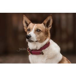 Kentucky Dogwear Plaited Nylon Dog Collar, Bordeaux - S (42 cm)