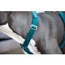 Kentucky Dogwear Pasja oprsnica Loop Velvet, emerald - S