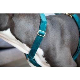 Kentucky Dogwear Dog Harness Loop Velvet, Emerald - S