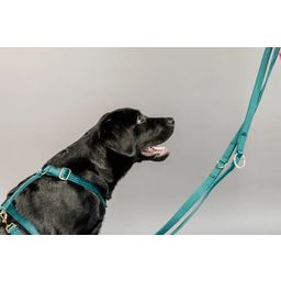 Kentucky Dogwear Hundegeschirr Loop Velvet, emerald - S