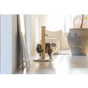 Designed by Lotte Kratzbaum Yenna Grau - 41x41x70 cm