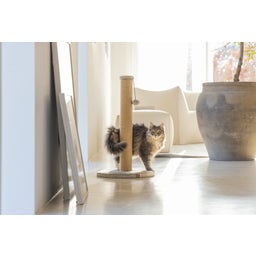 Designed by Lotte Kratzbaum Yenna Grau - 41x41x70 cm