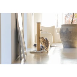 Designed by Lotte Kratzbaum Yenna Grau - 41x41x70 cm