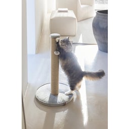 Designed by Lotte Kratzbaum Yenna Grau - 41x41x70 cm