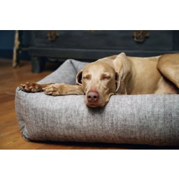 Designed by Lotte Liegebett Unnay Beige - 95x80x23 cm