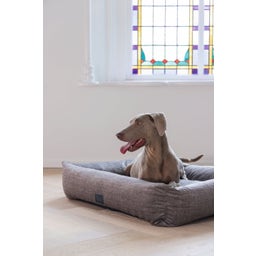 Designed by Lotte Liegebett Unnay Beige - 95x80x23 cm