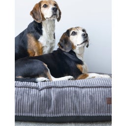 Designed by Lotte Ligkussen - Ribbed Bruin - 120x80x15 cm