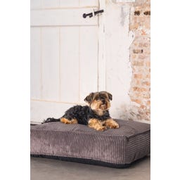 Designed by Lotte Liegekissen Ribbed Braun - 70x55x15 cm