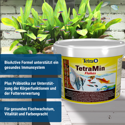 TetraMin Flakes - 10 L