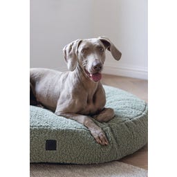 Designed by Lotte Oval Hundekissen Yndis Grün - 115x85x15 cm