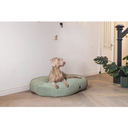 Designed by Lotte Oval Hundekissen Yndis Grün - 115x85x15 cm