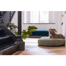 Designed by Lotte Oval Hundekissen Yndis Grün - 115x85x15 cm