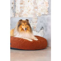 Designed by Lotte Oval Hundekissen Yndis Terracotta - 100x70x15 cm