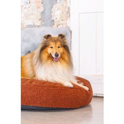 Designed by Lotte Oval Hundekissen Yndis Terracotta - 100x70x15 cm