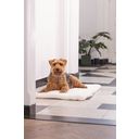 Designed by Lotte Cuscino per Cani Bench Kiss Ligra, Crema - 109x69x3 cm