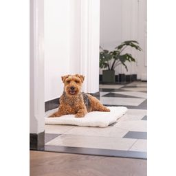 Designed by Lotte Cuscino per Cani Bench Kiss Ligra, Crema - 109x69x3 cm