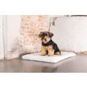 Designed by Lotte Hundekissen Bench Kiss Ligra Creme - 49x36x3 cm