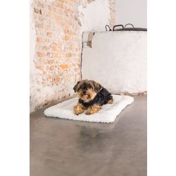 Designed by Lotte Hundekissen Bench Kiss Ligra Creme - 49x36x3 cm