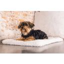 Designed by Lotte Hundekissen Bench Kiss Ligra Creme - 49x36x3 cm