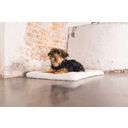 Designed by Lotte Hundekissen Bench Kiss Ligra Creme - 49x36x3 cm