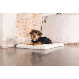 Designed by Lotte Hundekissen Bench Kiss Ligra Creme - 49x36x3 cm