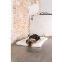 Designed by Lotte Hundekissen Bench Kiss Ligra Creme - 49x36x3 cm