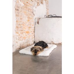 Designed by Lotte Hundekissen Bench Kiss Ligra Creme - 49x36x3 cm