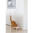 Designed by Lotte Holz Dinnerset Katze Djeha - 1 Stk