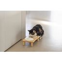 Designed by Lotte Holz Dinnerset Katze Djeha - 1 Stk