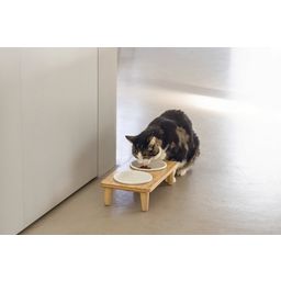 Designed by Lotte Holz Dinnerset Katze Djeha - 1 Stk