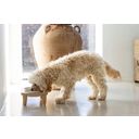 Designed by Lotte Holz Dinnerset Hund Djeha - 1 Stk