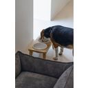 Designed by Lotte Holz Dinnerset Hund Djeha - 1 Stk